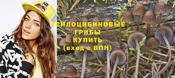 прущий лед Заводоуковск